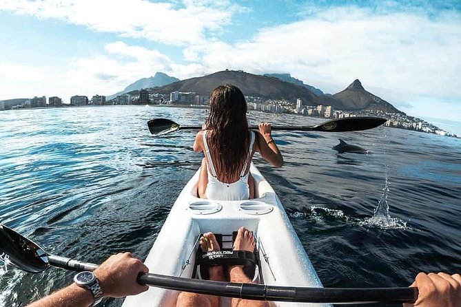 Atlantic Outlook Kayak Tour Cape Town - Timing, cancellations, and useful planning