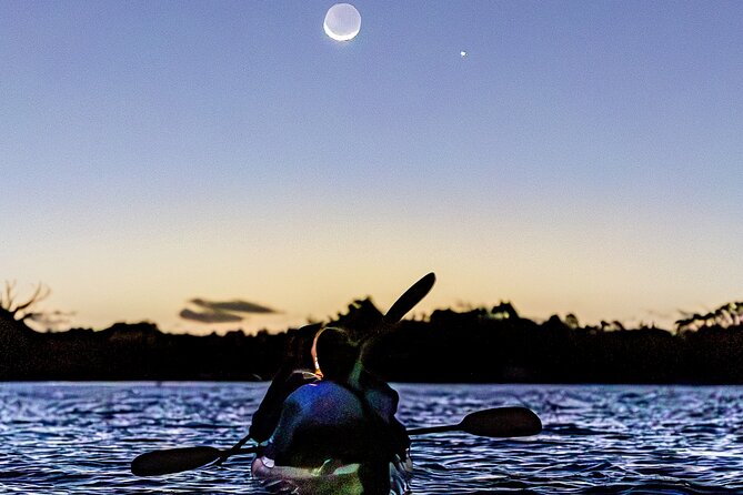 Auckland Bioluminescence Kayak Tour - Blue sparks in Auckland’s night water