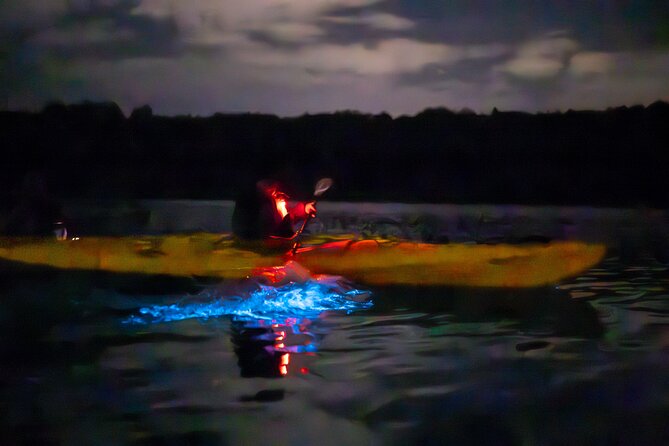 Auckland Bioluminescence Kayak Tour - Guides who explain the science