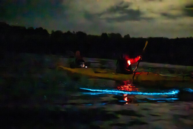 Auckland Bioluminescence Kayak Tour - The value of the $68.26 price