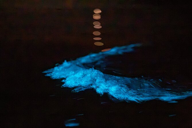 Auckland Bioluminescence Kayak Tour - Taking photos without missing the moment