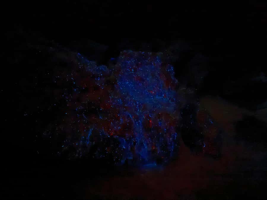 Auckland: Bioluminescence Kayak Tour with Guide - Waiting for darkness