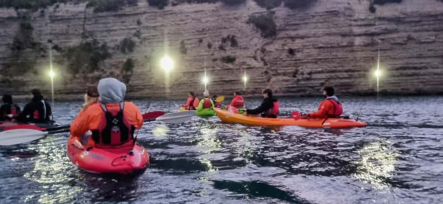 Auckland: Bioluminescence Kayak Tour with Guide - Paddling beneath the stars
