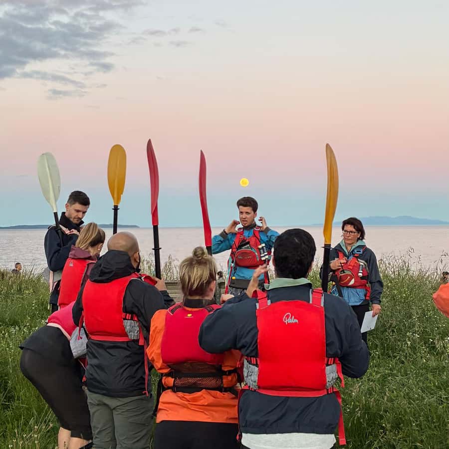 Auckland: Bioluminescence Kayak Tour with Guide - How good is the bioluminescence?