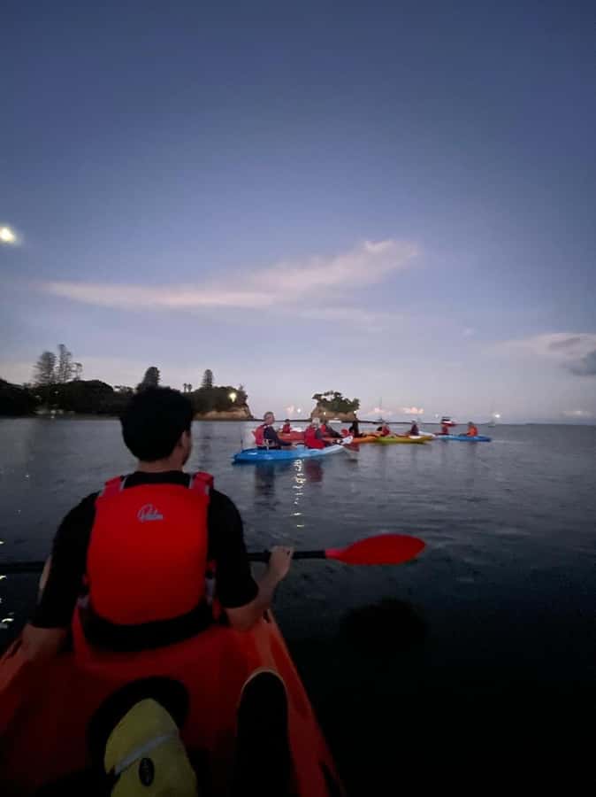 Auckland: Bioluminescence Kayak Tour with Guide - The real cost at $71 per person