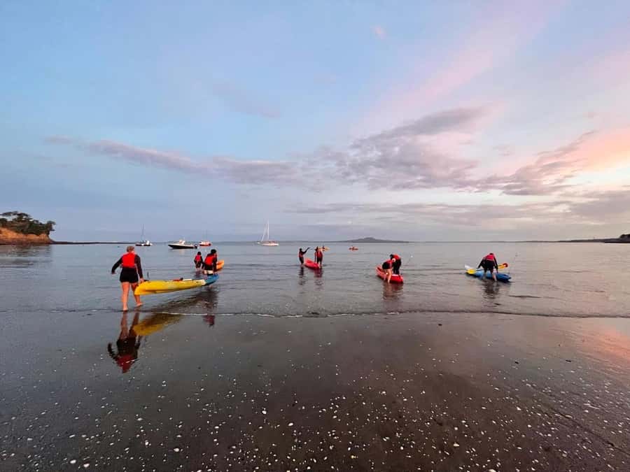Auckland: Bioluminescence Kayak Tour with Guide - Who should book this Auckland experience?