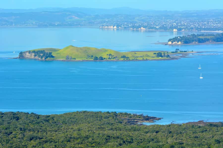Auckland: Browns Island (Motukorea) Sea Kayak Tour - Who will enjoy this Browns Island tour
