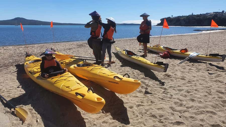 Auckland: Browns Island (Motukorea) Sea Kayak Tour - Reaching an island with no road or ferry