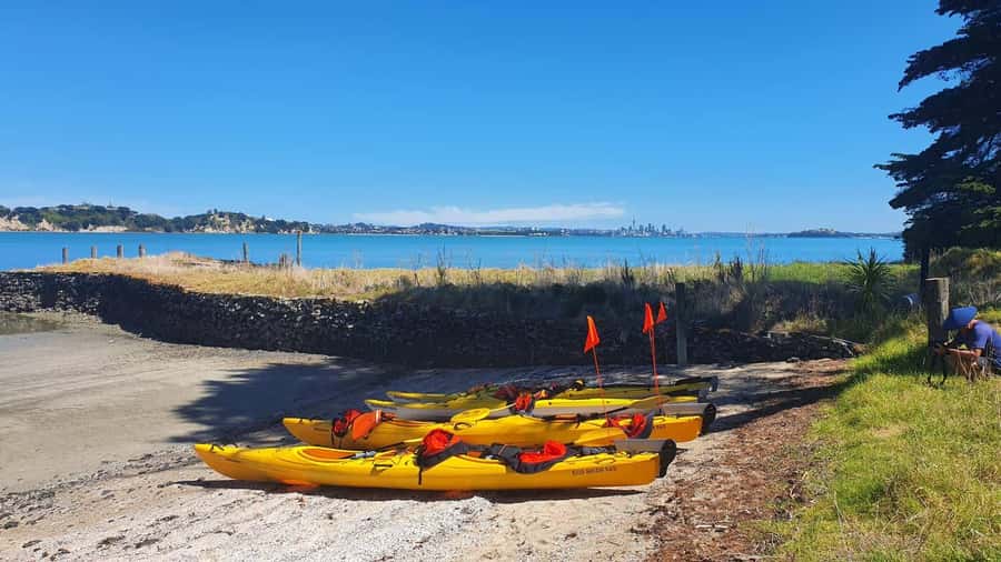Auckland: Browns Island (Motukorea) Sea Kayak Tour - Watching for dotterels, oystercatchers, and sea life
