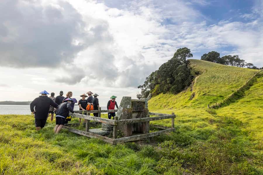 Auckland: Browns Island (Motukorea) Sea Kayak Tour - Guides who make the first paddle easier