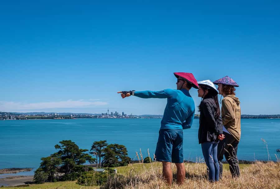Auckland: Browns Island (Motukorea) Sea Kayak Tour - What the $89 price covers