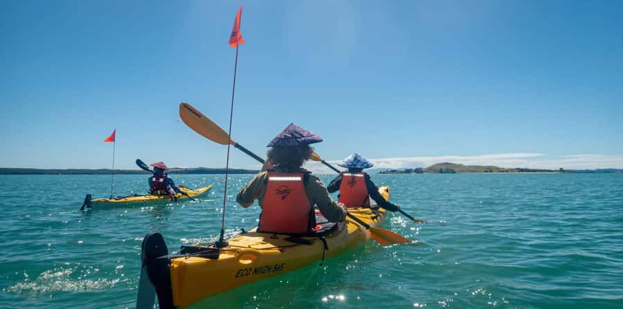 Auckland: Browns Island (Motukorea) Sea Kayak Tour - Starting at St Heliers Beach with a proper safety briefing