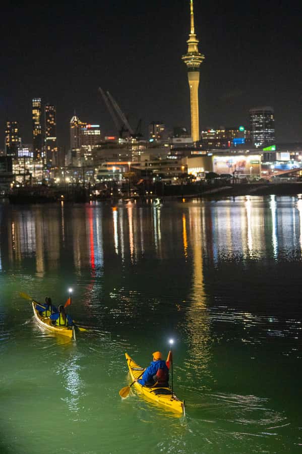 Auckland: City Lights Night Kayak Tour - Why Auckland looks different from a kayak after dark