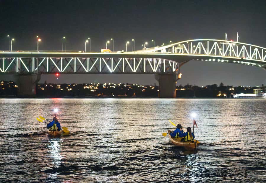 Auckland: City Lights Night Kayak Tour - Meeting at Z Pier in St Mary’s Bay