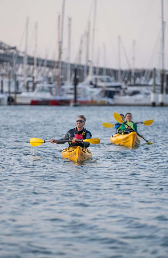 Auckland: City Lights Night Kayak Tour - What $80 buys you