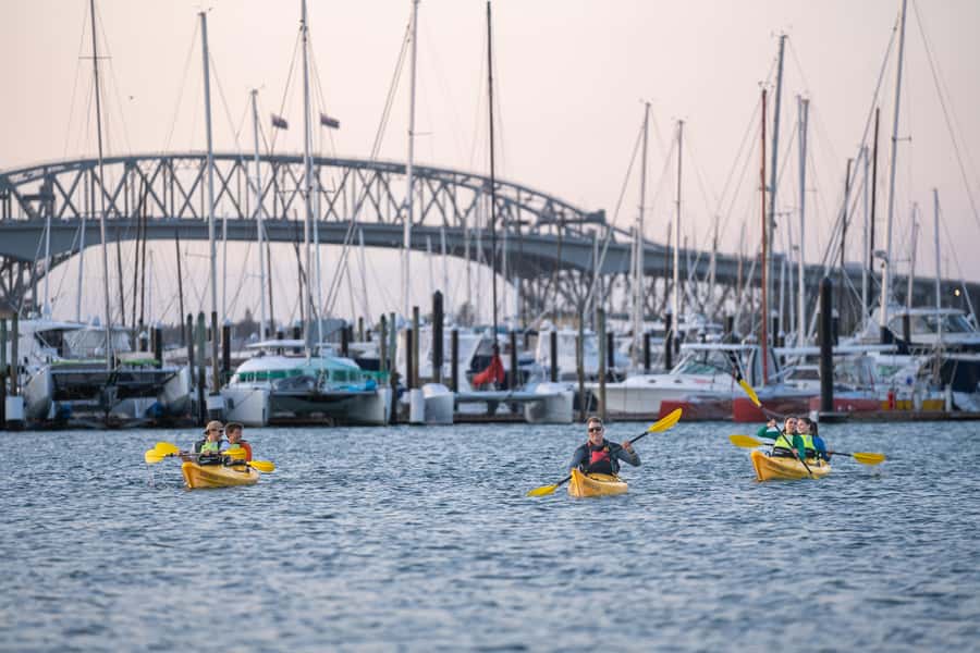 Auckland: City Lights Night Kayak Tour - Who will enjoy this night paddle most