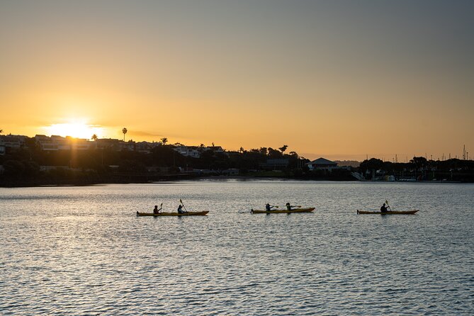 Auckland City Lights Night Kayaking Tour - Why Auckland looks best from the water after dark