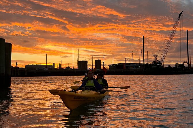 Auckland City Lights Night Kayaking Tour - Wynyard Quarter and the inner waterfront