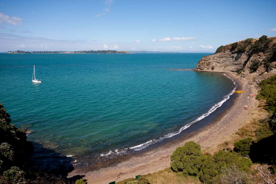Auckland: Half-Day Sea Kayak Tour to Motukorea Island - Why Motukorea makes a good Auckland half-day