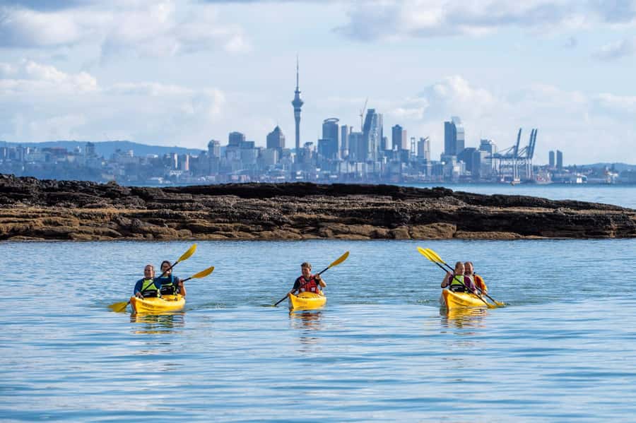 Auckland: Half-Day Sea Kayak Tour to Motukorea Island - Landing on Motukorea Island