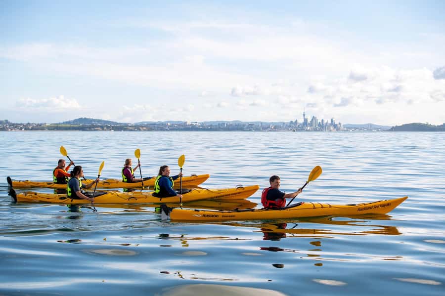 Auckland: Half-Day Sea Kayak Tour to Motukorea Island - The volcanic views and island stories