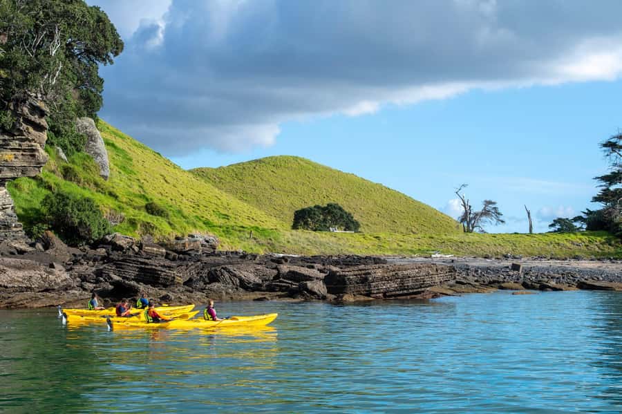 Auckland: Half-Day Sea Kayak Tour to Motukorea Island - Snacks, views, and the return paddle