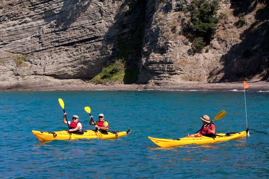 Auckland: Half-Day Sea Kayak Tour to Motukorea Island - The paddle across the Hauraki Gulf