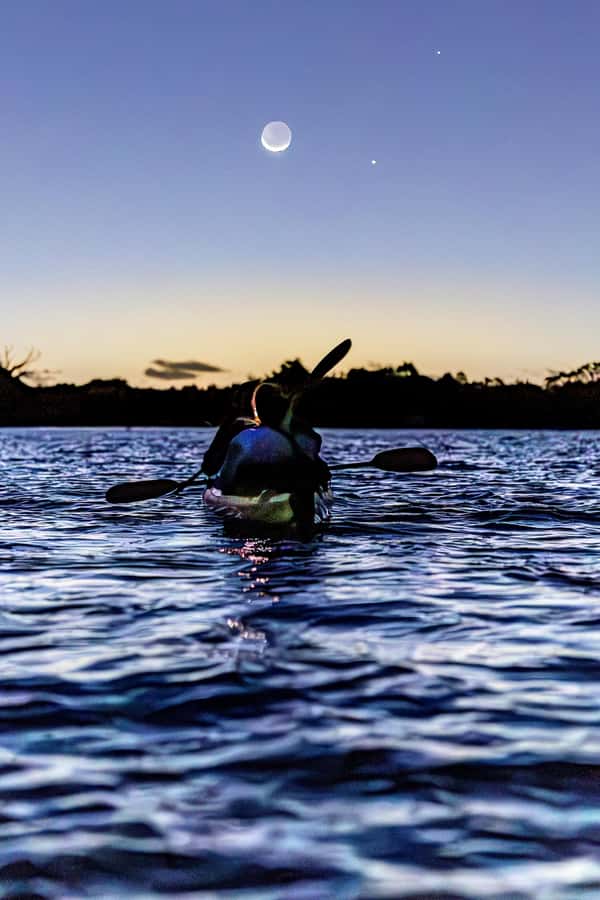 Auckland: Night Kayak Tour in Glowing Bioluminescent Waters - About 75 minutes of glow hunting