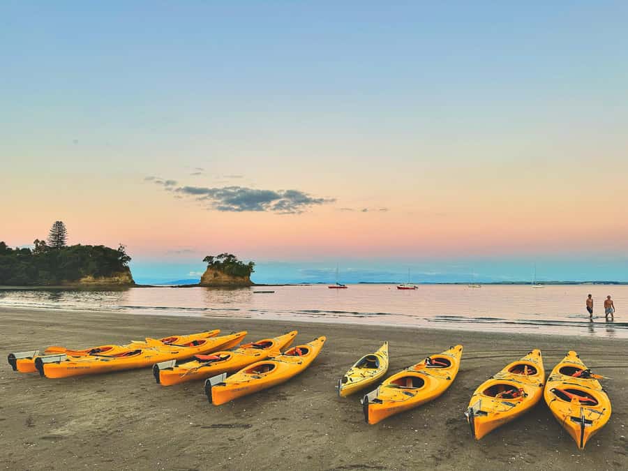 Auckland: Night Kayak Tour in Glowing Bioluminescent Waters - Safety, clothing, and comfort