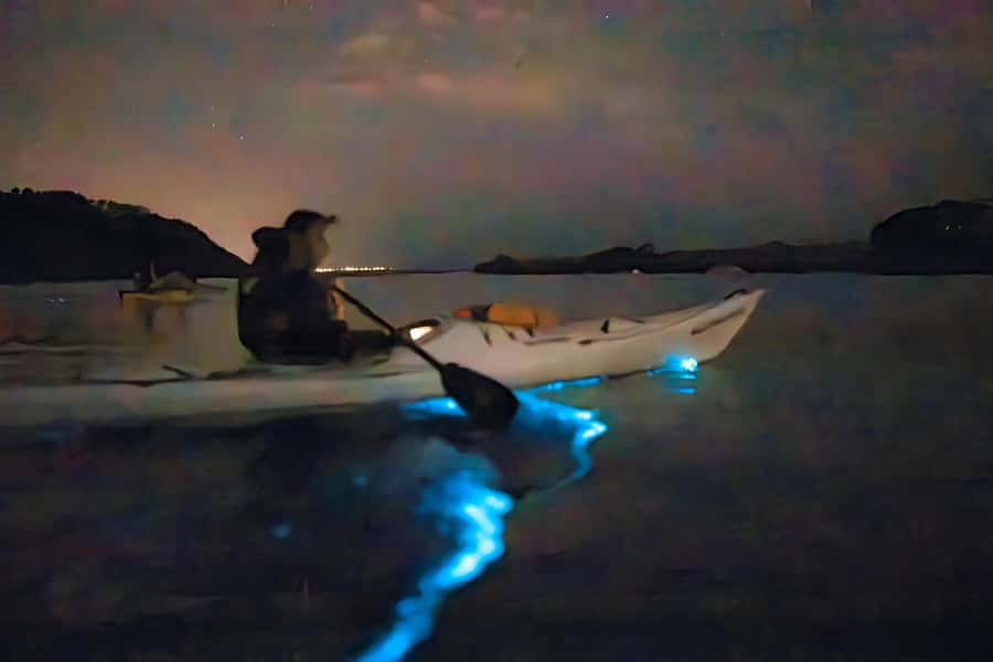Auckland: Night Kayak Tour in Glowing Bioluminescent Waters - What happens at Okura Boat Ramp or Waiake Beach
