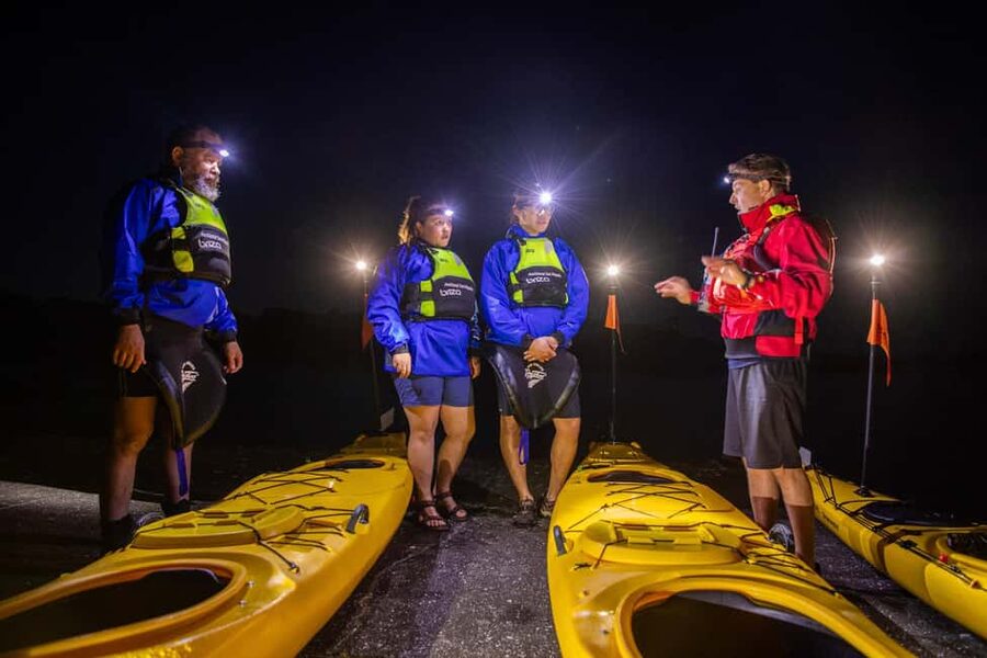 Auckland: Sunset & Night Sea Kayak Tour to Rangitoto Island - Learning to kayak before the crossing