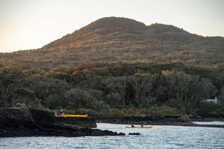 Auckland: Sunset & Night Sea Kayak Tour to Rangitoto Island - Reaching the summit for sunset