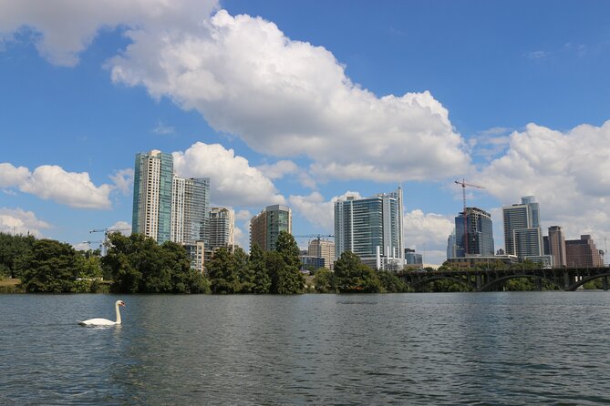 Austin Skyline Kayak Tour - Wildlife, artwork, and the bat bridge
