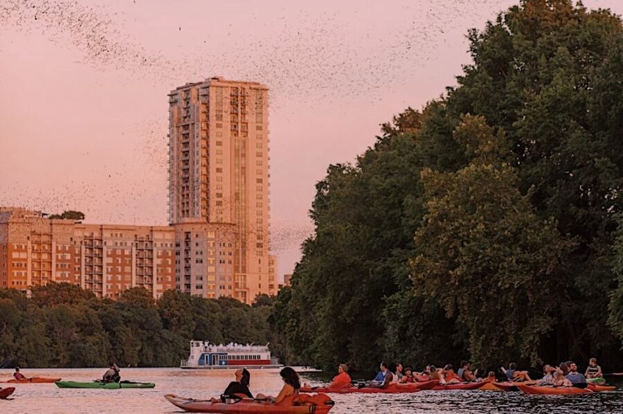Austin: Sunset Bat Watching Kayak Tour - Why the kayak is the smart place to watch Austin’s bats