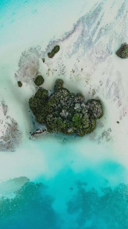 Bacalar & Cenotes: 3 hours kayak rental with snorkeling gear - Choosing your route: realistic goals matter