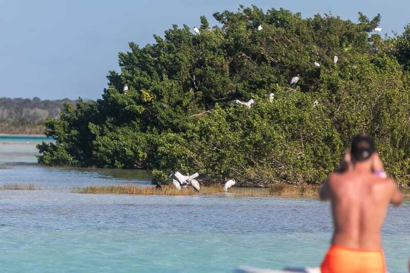 Bacalar: Full Day Kayak Rental in the Lagoon of Seven Colors - Who should book this kayak rental