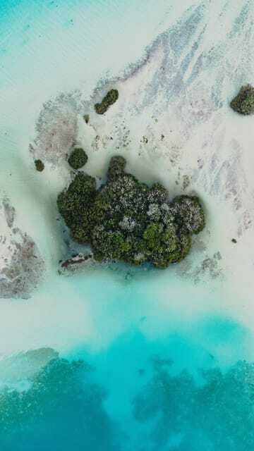 Bacalar Lagoon Full-Day Kayak & Snorkel Rental - Should you book this Bacalar kayak rental?