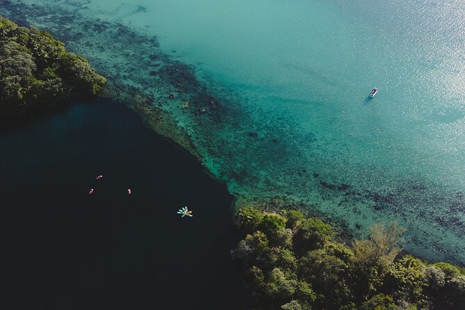 Bacalar Sunrise Stand Up Paddleboard Tour with Breakfast & Photos - Why This Sunrise Paddle Is Worth the Early Start