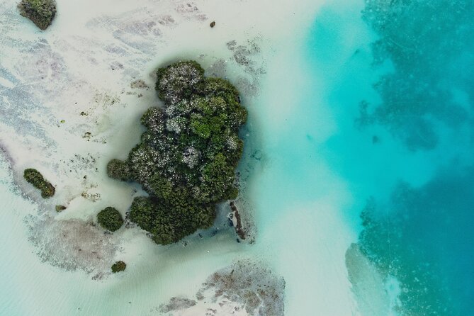 Bacalar Sunrise Stand Up Paddleboard Tour with Breakfast & Photos - Breakfast in the Middle of Bacalar Lagoon