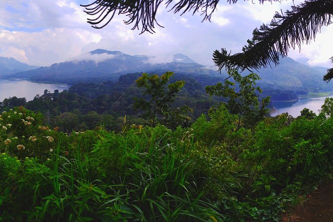 Bali Jungle Trekking and Lake Canoeing Tour - A cool start at Wanagiri Peak