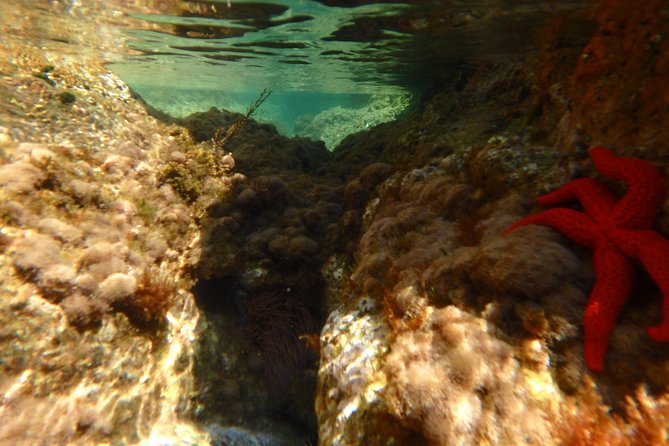 Barcelona Costa Brava Kayak, Snorkel & Cliff Jump Day Tour - Lunch and free beach time