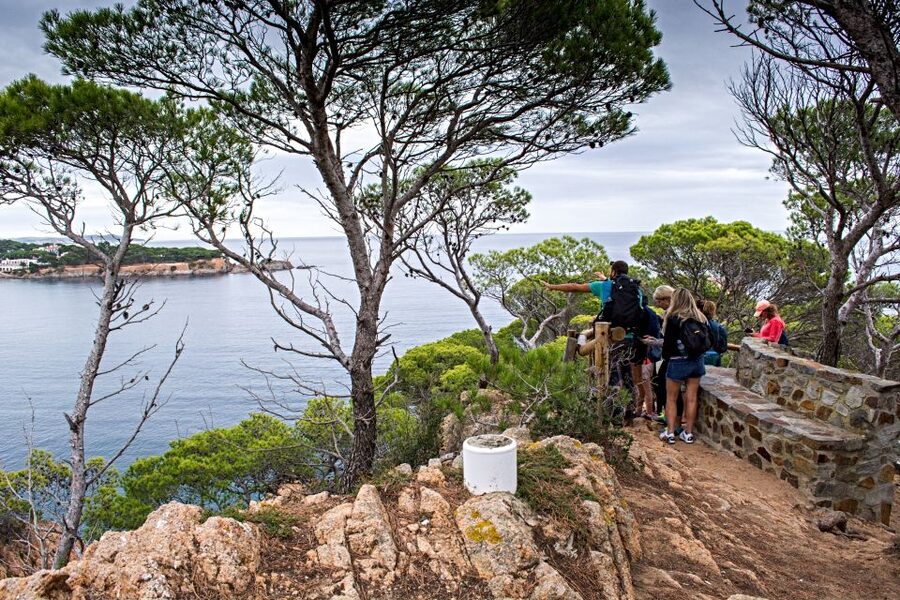 Barcelona: Costa Brava Tour with Kayak & Lagoon Snorkeling - The morning hike along El Camino de Ronda