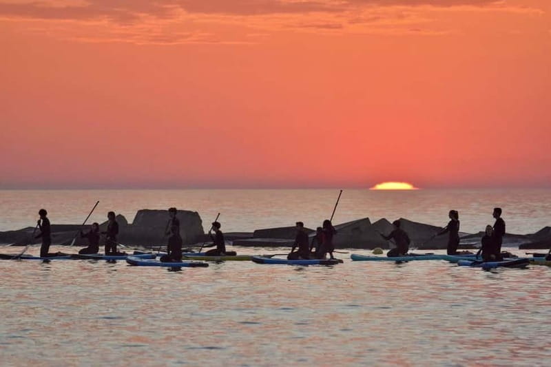 Barcelona: Paddleboarding at Sunrise. Includes: instructor, photos, equipment - The walk to San Miguel Beach