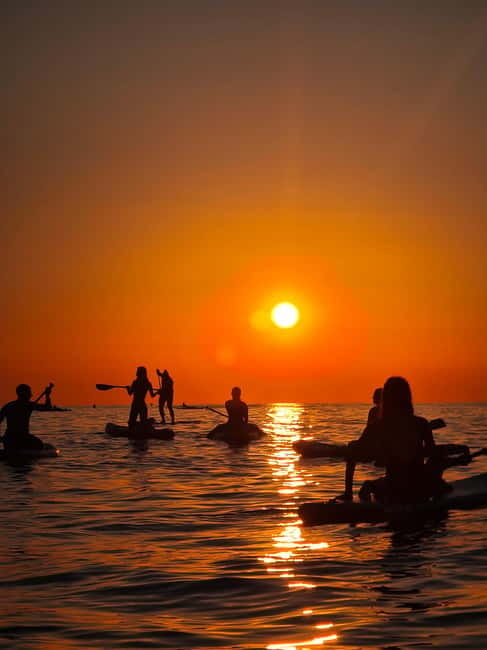 Barcelona: Paddleboarding at Sunrise. Includes: instructor, photos, equipment - Who will enjoy this Barcelona activity