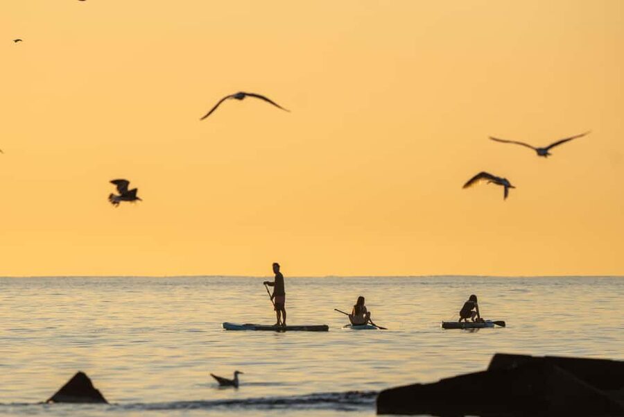 Barcelona: Paddlesurf Rental Barceloneta beach (75min) - A 75-minute session on Barcelona’s sea