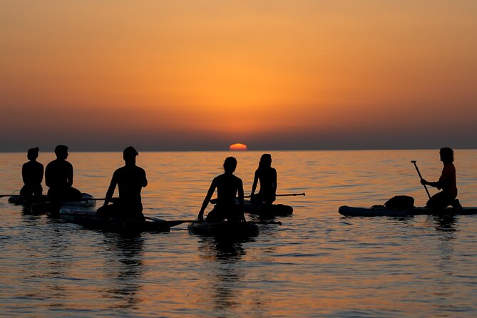 Barcelona: Sunrise Paddle Surf with Instructor and Photos - Paddling along Barcelona’s coast