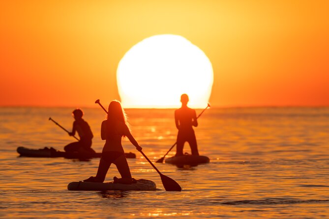 Barcelona: Sunrise Paddle Surf with Instructor and Photos - Practical timing and what to bring