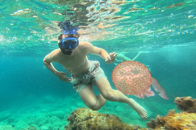 Barcelona Wild Experience: Kayak and Snorkel in Costa Brava - What the 9-hour schedule feels like