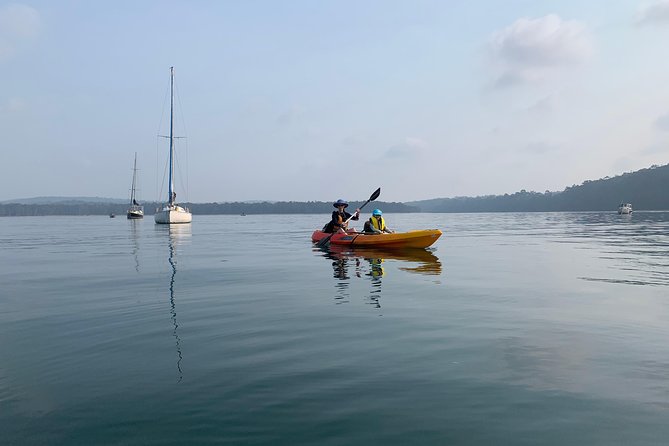 Batemans Bay Glass-Bottom Kayak Tour Over 2 Relaxing Hours - Paddling through Batemans Marine Park