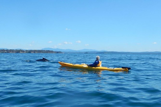 Batemans Bay Glass-Bottom Kayak Tour Over 2 Relaxing Hours - Yuin connections around Cullendulla Creek